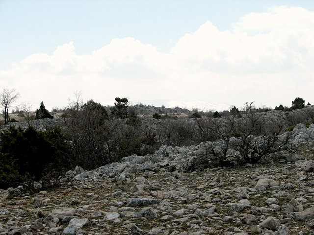 View south from Confluence