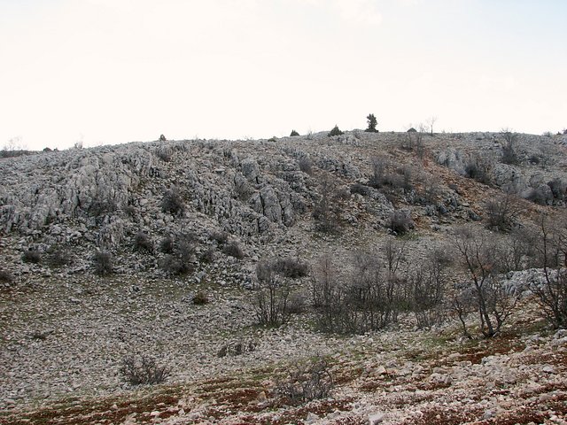 View towards the Confluence from north. The spot is nearly on top of the facing slope