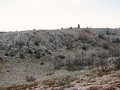 #9: View towards the Confluence from north. The spot is nearly on top of the facing slope