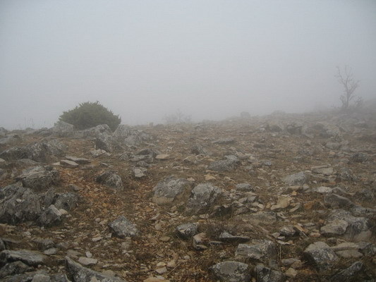 South view from intersection point