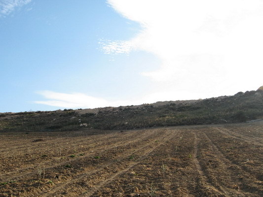 East view from intersection point