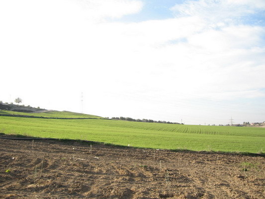 South view from intersection point