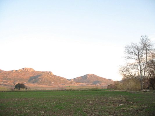 North view from intersection point