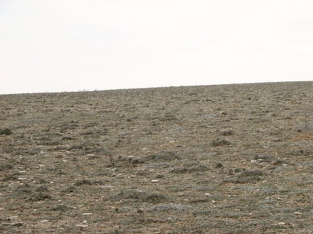 View west from Confluence