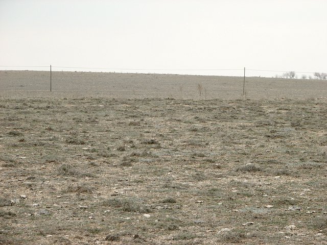 View north from Confluence