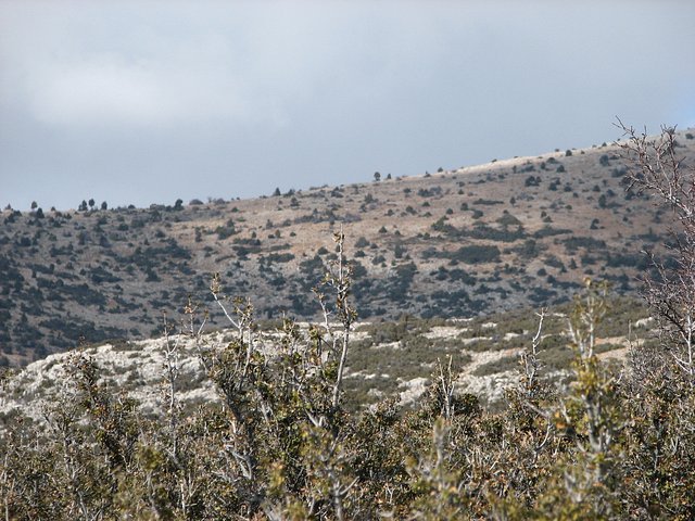 View north from Confluence