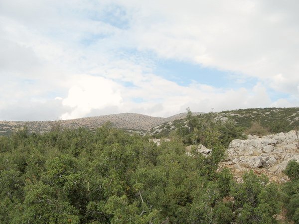 North view from confluence point