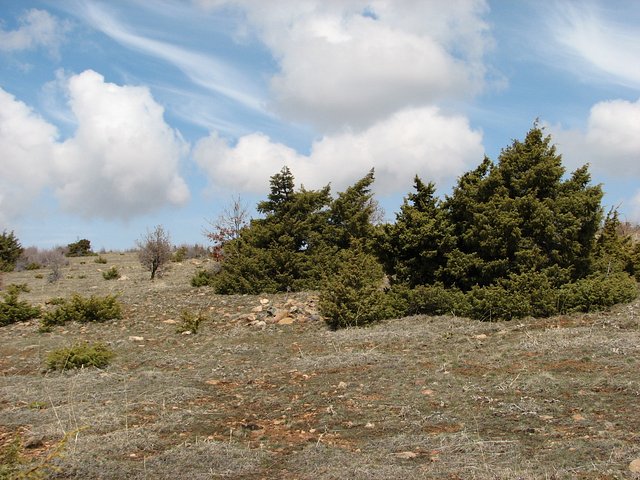 View towards north from Confluence