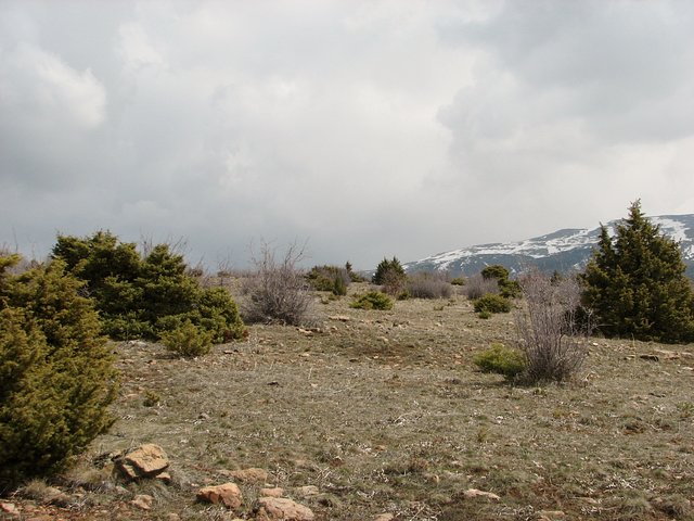 View towards east from Confluence