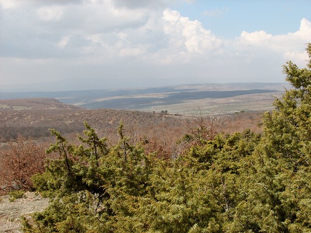 View towards west from Confluence