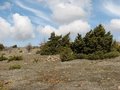 #2: View towards north from Confluence