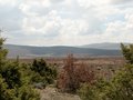 #4: View towards south from Confluence