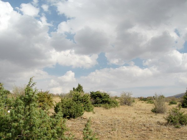 East view from confluence point