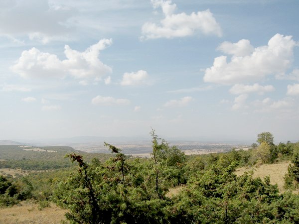 West view from confluence point