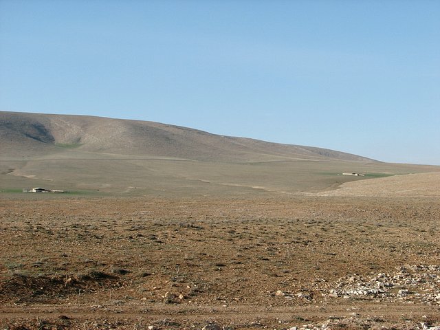 View in direction north towards the Confluence from about 1.5 km distance. The spot is approximately in the picture's centre