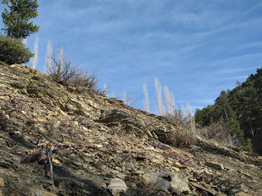 East view from intersection point