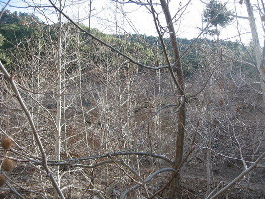 South view from intersection point