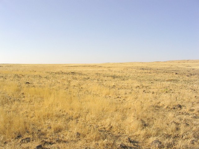 View of the confluence point