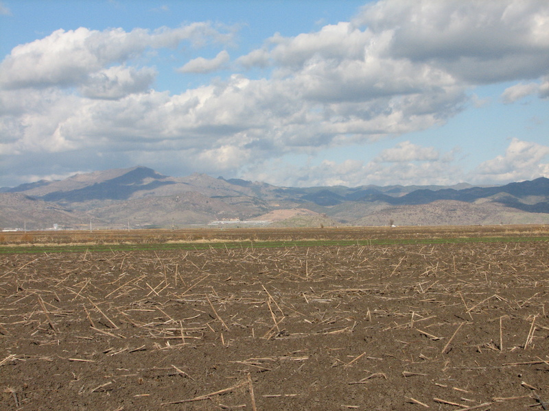 Looking north from the CP