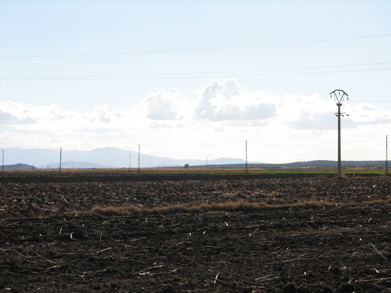 Looking south from the CP