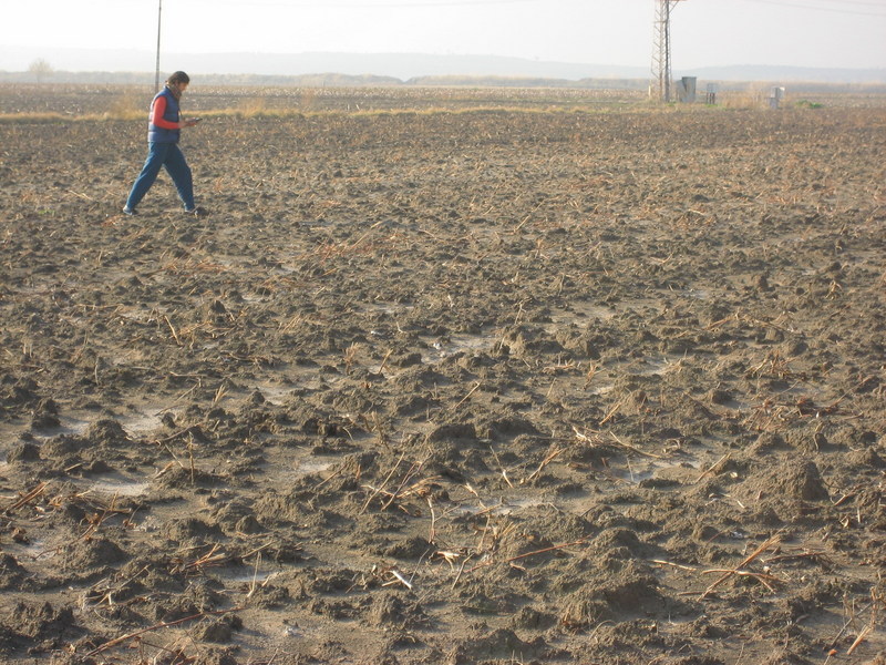 Scaling the empty fields