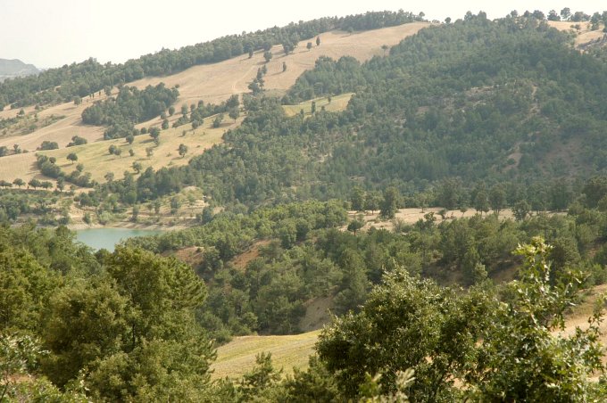 View from 600 m northeast of the Confluence