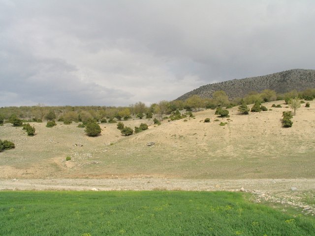 View from confluence point to the East