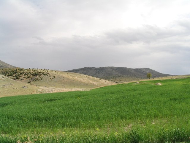 View from confluence point to the South