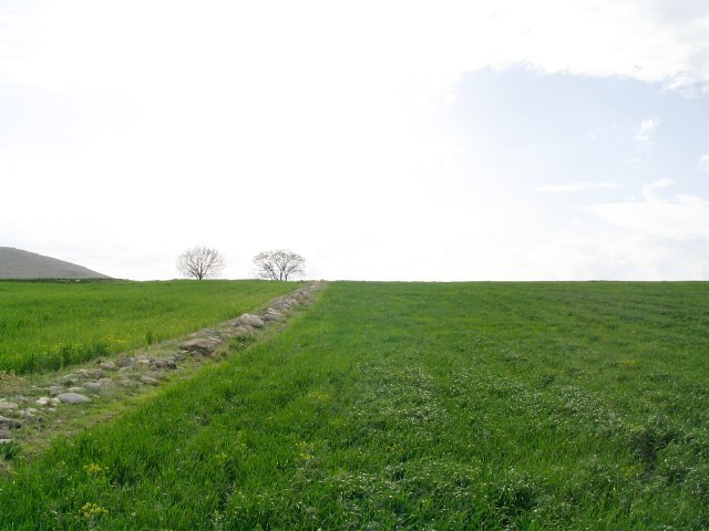 View from confluence point to the West