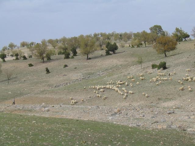 Near the confluence point