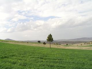 #1: View from confluence point to the North