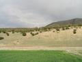 #2: View from confluence point to the East