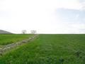 #4: View from confluence point to the West