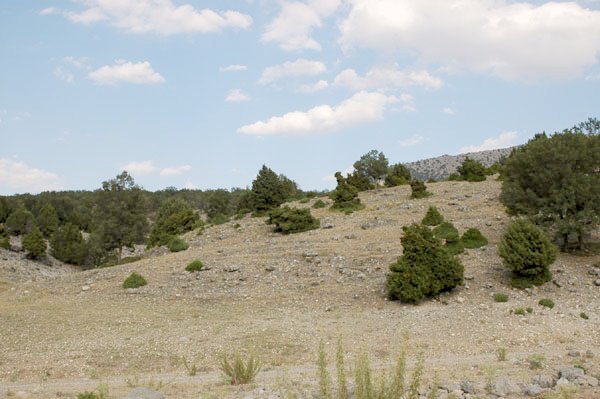 East view from intersection point