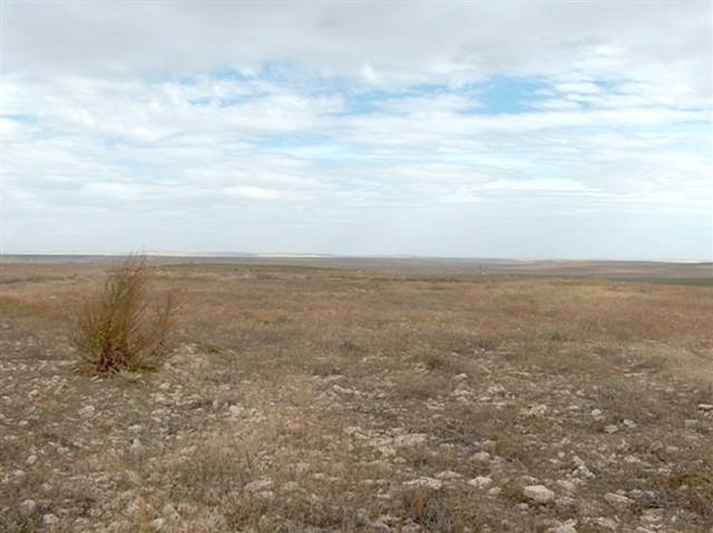 Looking East from the Confluence point