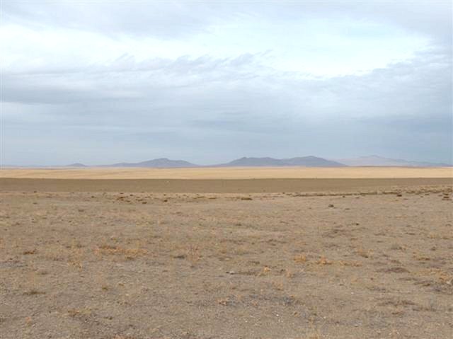 Looking South from the confluence point