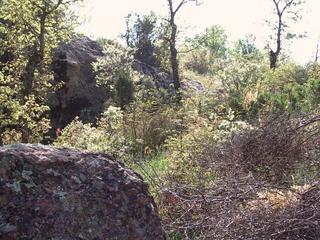 #1: Looking towards the CP, which is just over this rocky fence