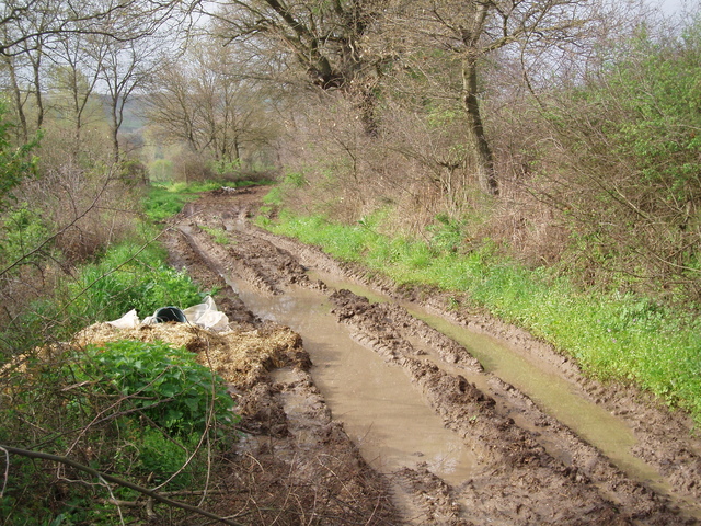 The track in from the Çan-Bayramiç road!