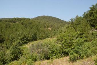 #1: View north, the Confluence is behind this hill