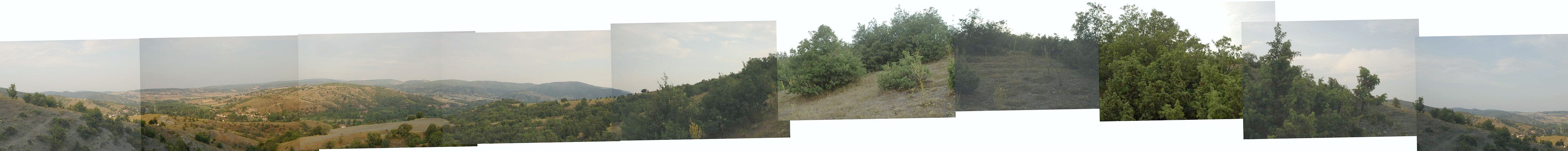 Panoramic view from confluence point