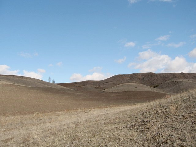 North view from confluence point