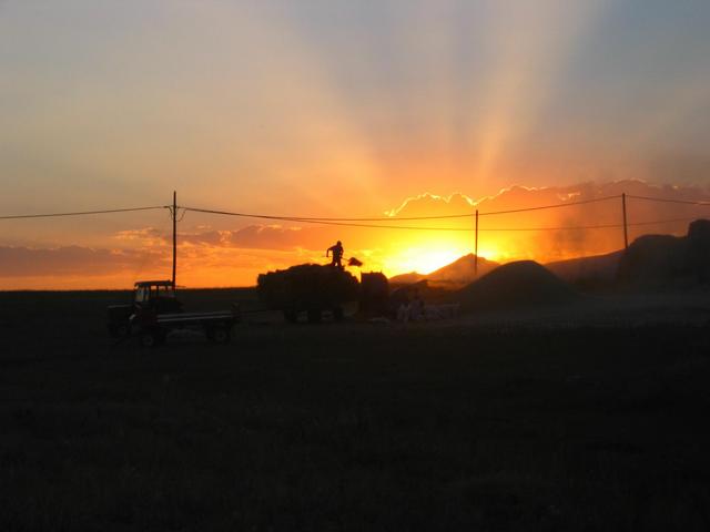 Harvest near the CP