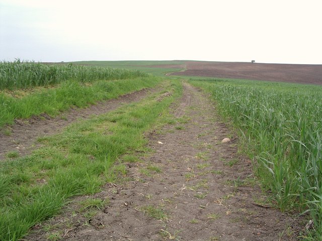 Look towards the CP from the farm track