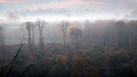 #8: Fog