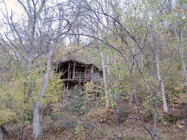 Wooden house