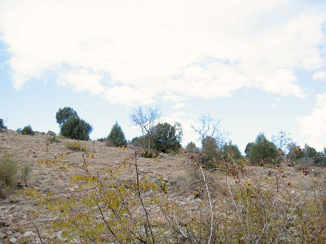 North view from confluence point