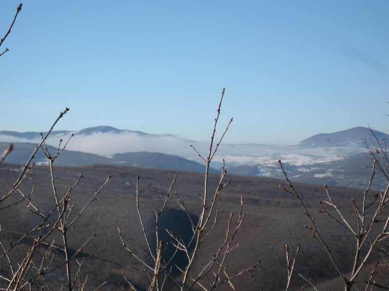 Foggy fields / Sisli arazi