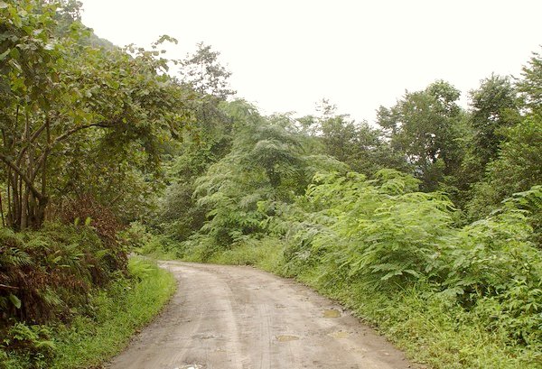 The village road on which we approached the Confluence and on which we got back.