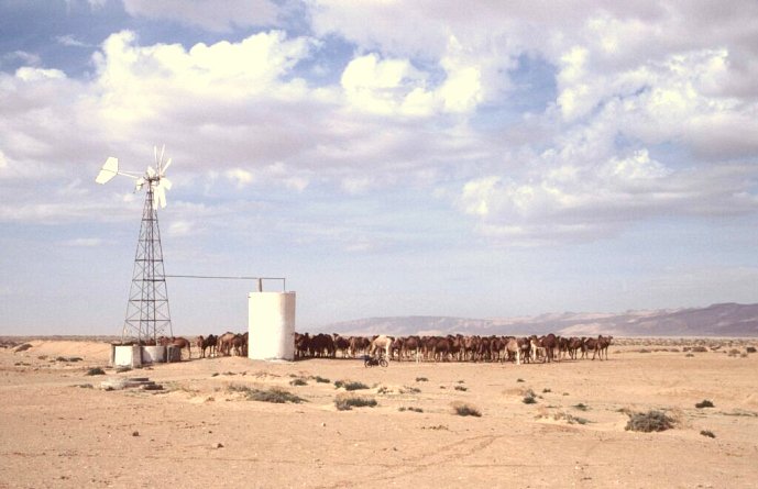 Wind-powered pump station (approx. 3 km from CP).