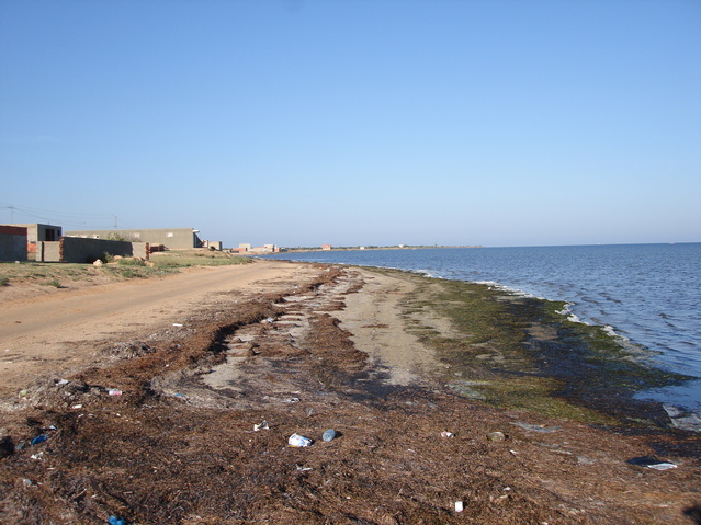 View of coast looking in northeasterly direction